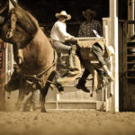 Rodeo de Driscoll part 1