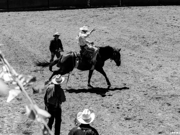 Bronco Rider, Driscoll Ranch Rodeo. La Honda, CA