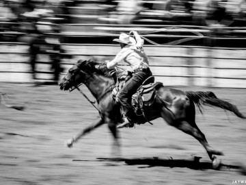 Calf Roping, Driscoll Ranch Rodeo. La Honda, CA