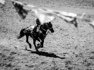 Flags. Driscoll Ranch Rodeo. La Honda, CA