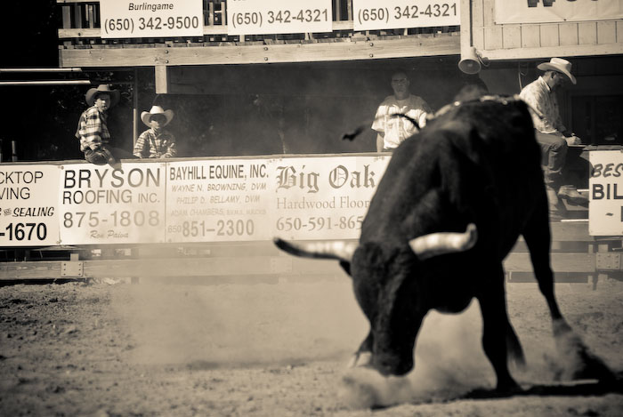 California Junior Rodeo at Woodside, CA