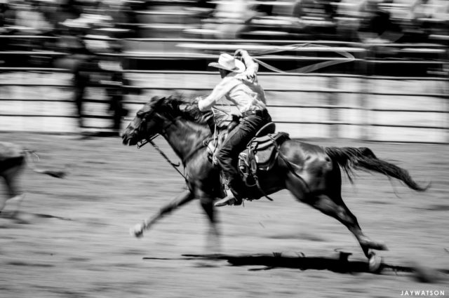 Calf Roping, Driscoll Ranch Rodeo