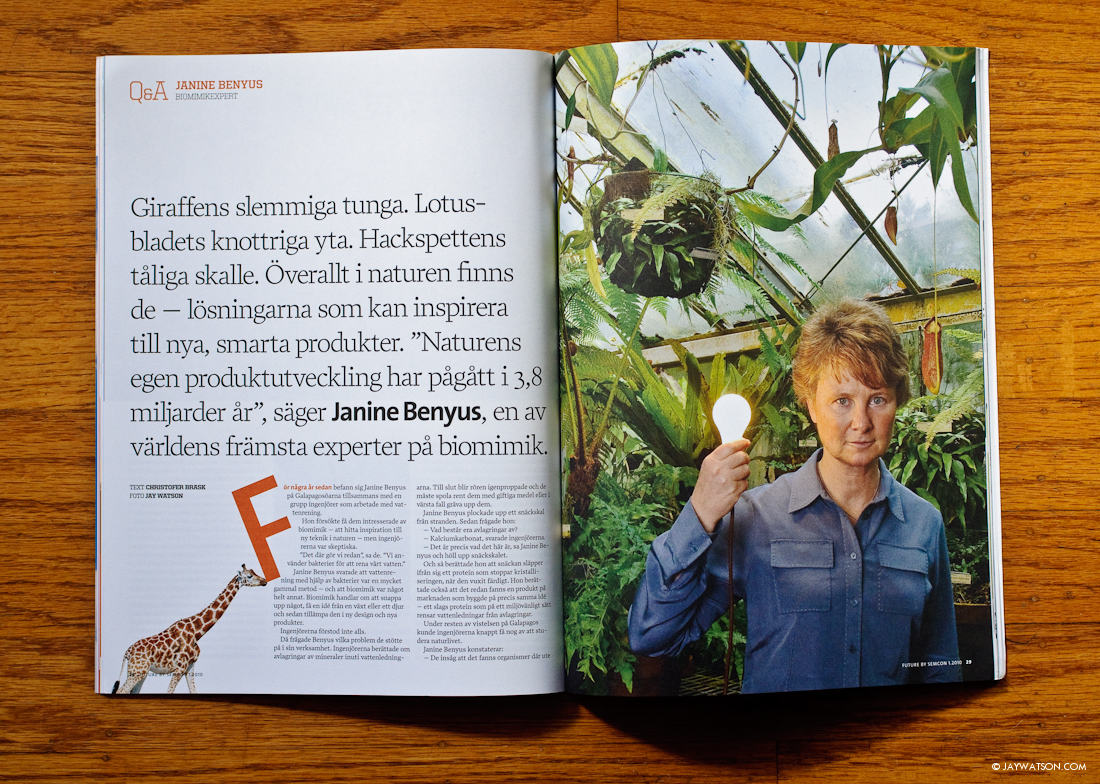 Biologist Janine Benyus Portrait | For French and Swedish Magazines