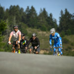 Climbing through Pescadero to the coast with a backdrop of redwoods.