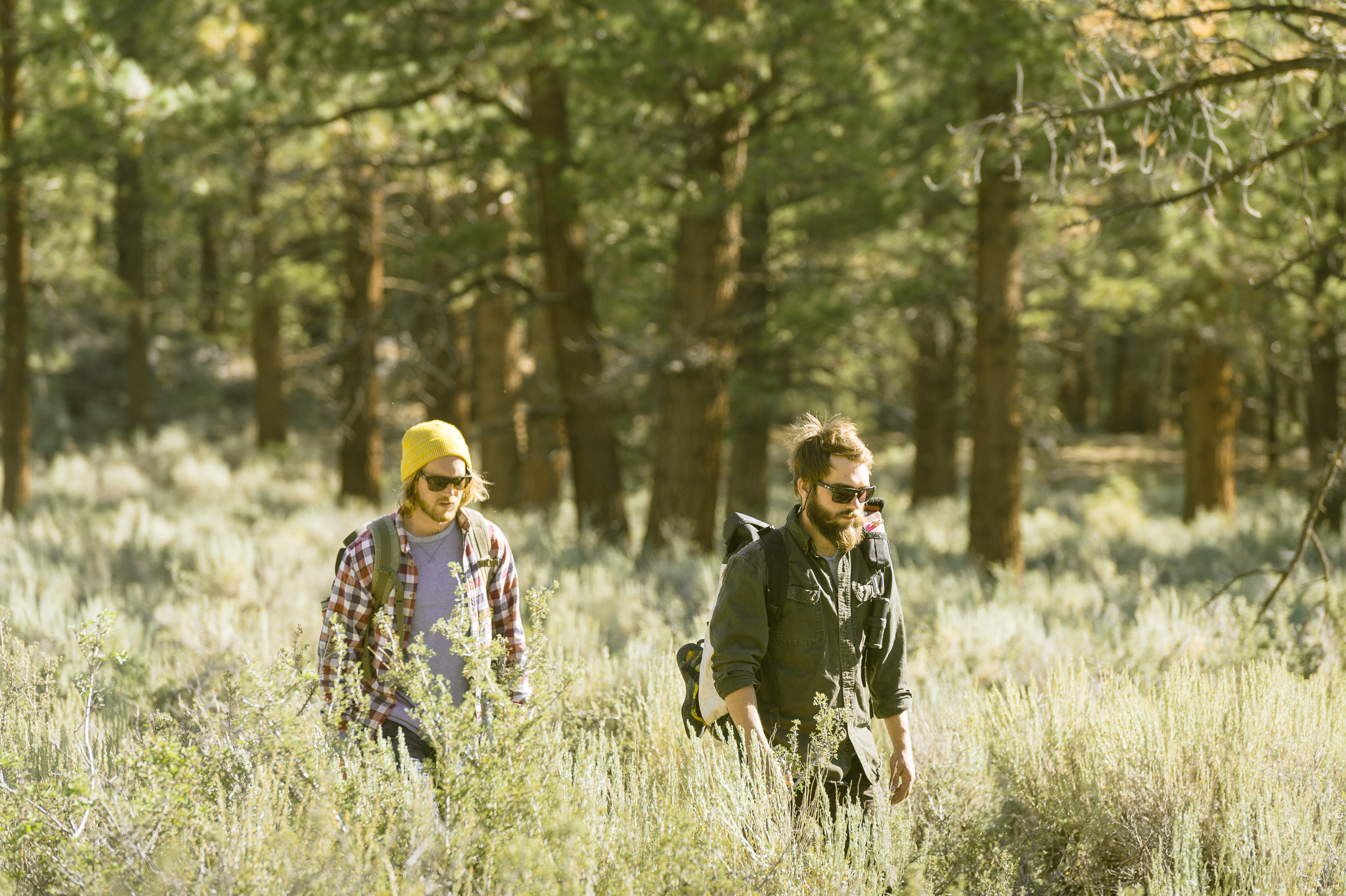 Video: The Forrer Brothers at Mammoth Lakes, CA