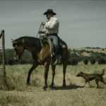 Cattle ranching Winters, CA